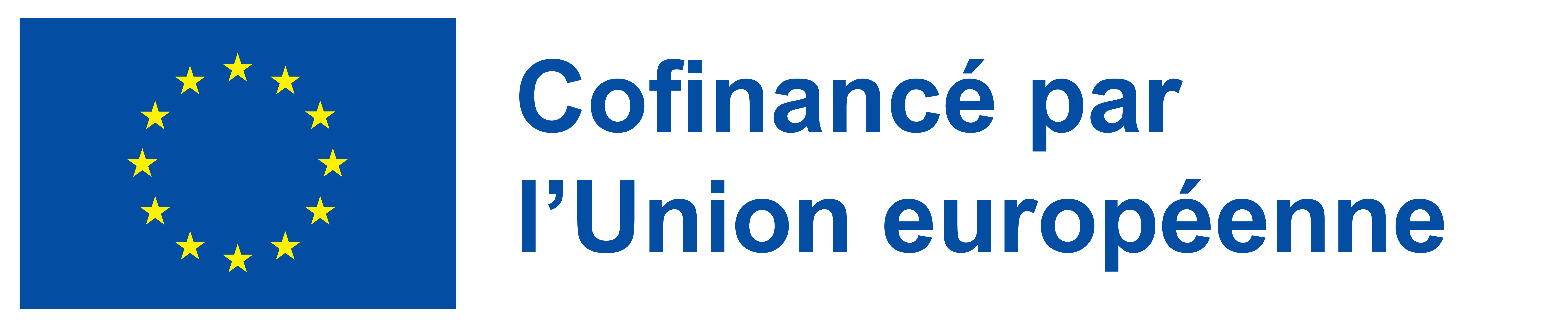 Logo de co-financement de l'Union européenne format horizontal
